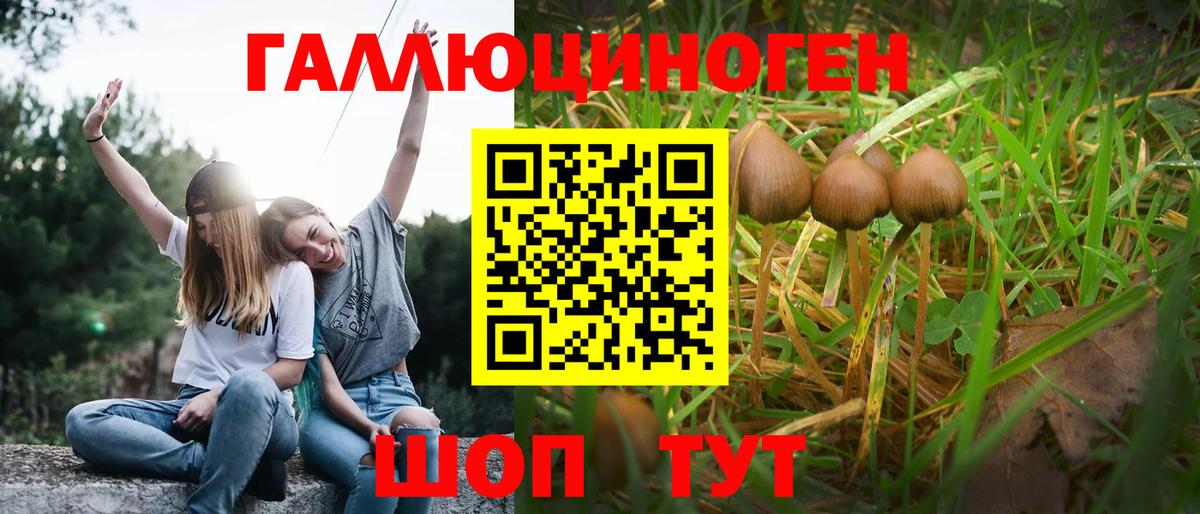 Галлюциногенные грибы Psilocybe  Вход с VPN  Чистополь 