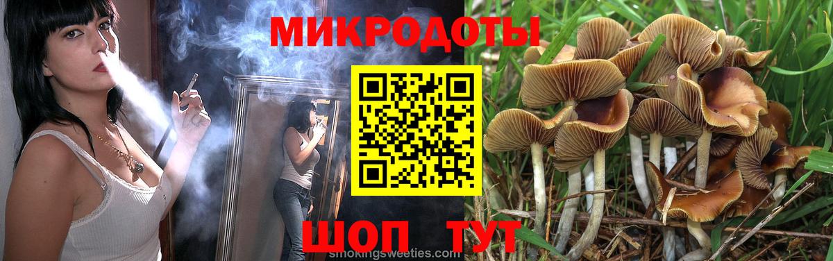 Псилоцибиновые грибы Psilocybe Чистополь